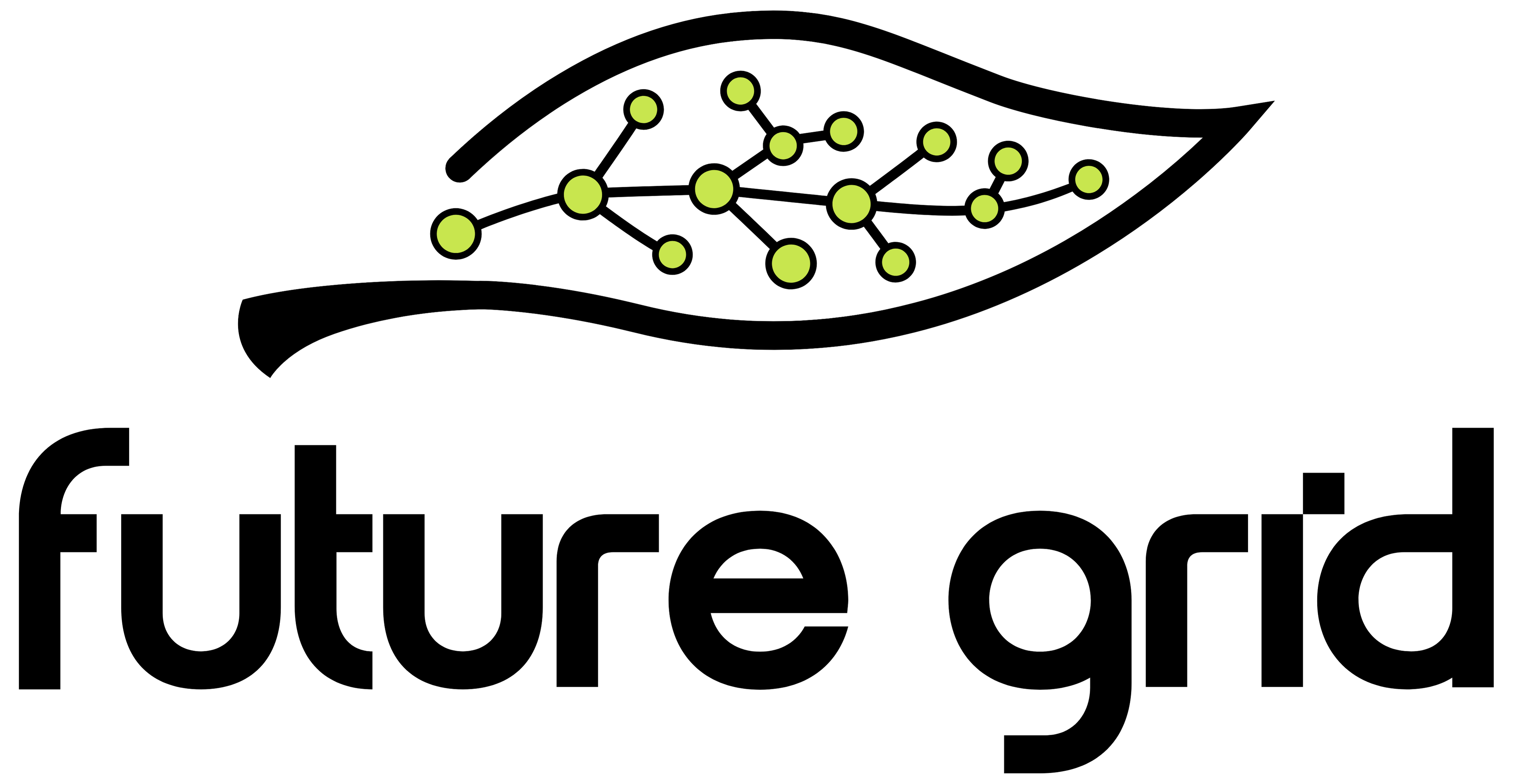 Future Grid